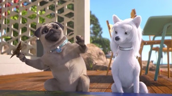 Mighty Mops Ein peinliches Foto