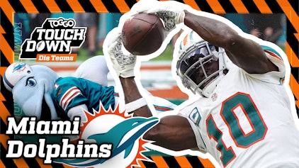 TOGGO Touchdown - Das sind die Teams Das sind die Miami Dolphins