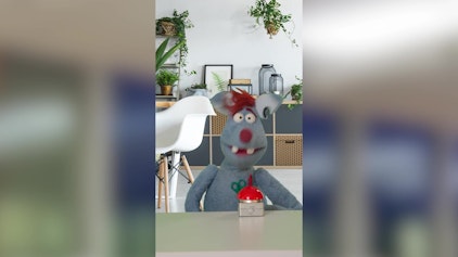 Woozle Shorts Urlaub planen