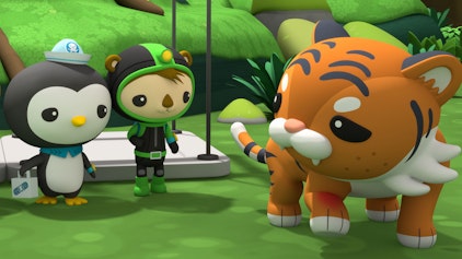 Die Oktonauten auf dem Festland Die Bergbachhöhle