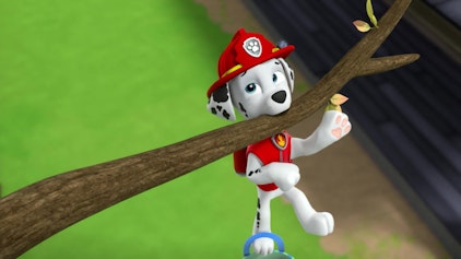 PAW Patrol - Helfer auf vier Pfoten Der Freundschaftstag