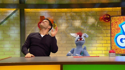 Woozle Goozle Insekten