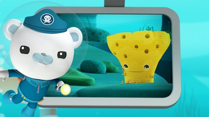 Das Okto-Lied Der Meeresschwamm