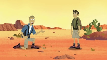 Go Wild! - Mission Wildnis Ein Koala in der Wüste