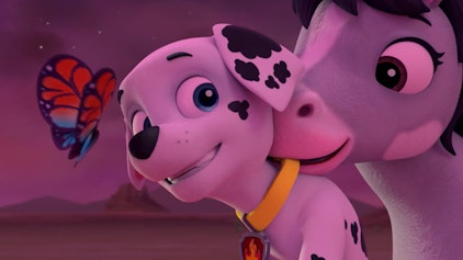 PAW Patrol - Helfer auf vier Pfoten Das schreckhafte Pony