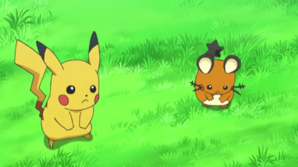 Pokémon: XY Vorsicht! Wangenrubbler!