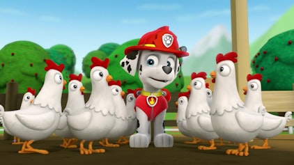 PAW Patrol - Helfer auf vier Pfoten Hunde retten Huhn