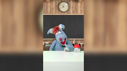 Woozle Shorts Klassenarbeit zurück bekommen