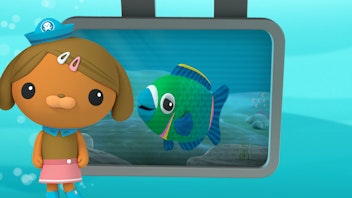 Das Okto-Lied Lied: Der Papageifisch