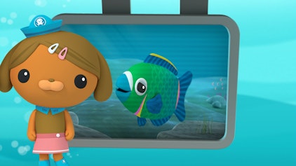 Das Okto-Lied Lied: Der Papageifisch