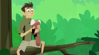 Go Wild! - Mission Wildnis Ein pelziges Fundstück