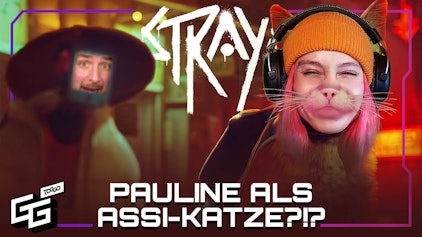 First Try Wie kann man sich hier so benehmen? | Stray | First Try