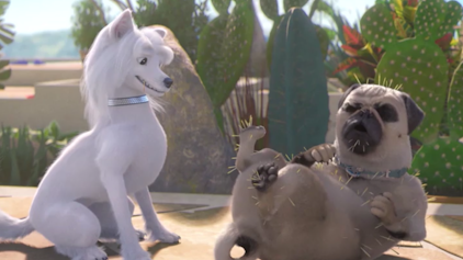 Mighty Mops Trojanische Waschbären