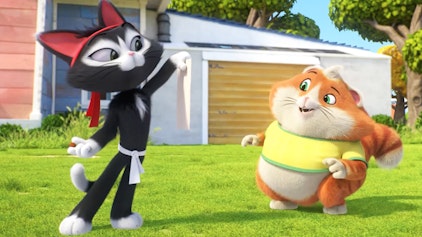 44 Cats Metti, der Postbotenkater