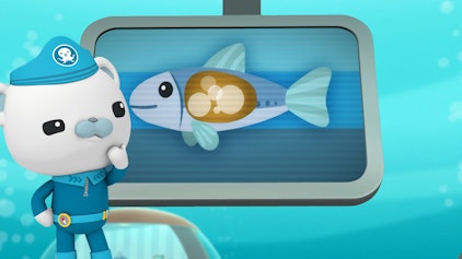 Das Okto-Lied Die Sardinen