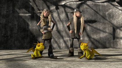 Dragons - Die Wächter von Berk Der Wettkampf