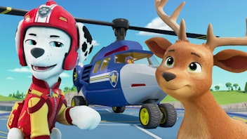 PAW Patrol - Helfer auf vier Pfoten Luftrettung für Dany X