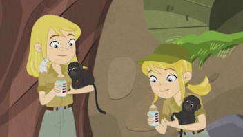 Lexi & Lottie - Detektive im Doppelpack Tierpark in Gefahr