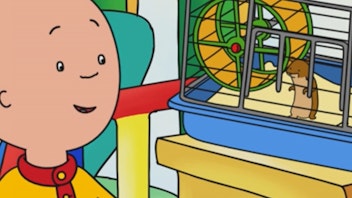 Caillou Der Blaubeerhügel / Hamsti, dar Hamster / Die Geburtstagsüberraschungen für Papi