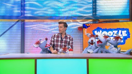 Woozle Goozle Vögel