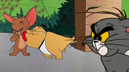 Tom und Jerry Tom kommt auf den Hund