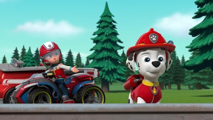 PAW Patrol - Helfer auf vier Pfoten Der reisende Reinhard als Bauer