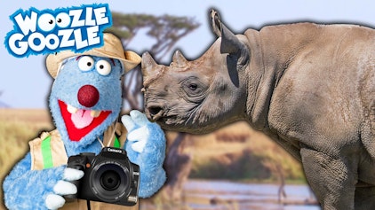 Woozle Goozle Serengeti