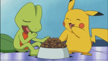 Pokémon: Advanced Vertauschte Waumpel