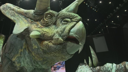 Woozle Goozle und die Weltentdecker Dinosaurier Teil 2