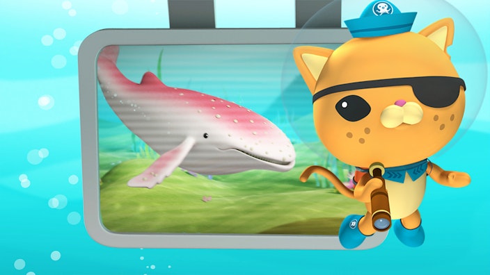 Das Okto-Lied Der Weiße Buckelwal