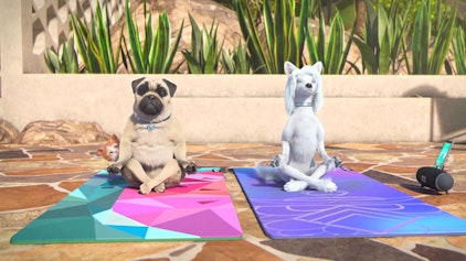 Mighty Mops Der Katzenwaschbär