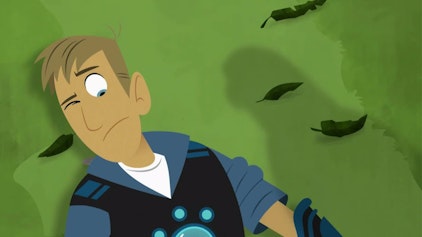 Go Wild! - Mission Wildnis Die Großstadtfalken