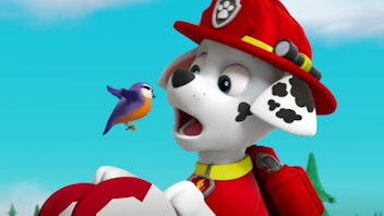 PAW Patrol - Helfer auf vier Pfoten Lukas Stern in Not