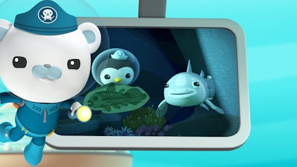 Das Okto-Lied Quastenflosser