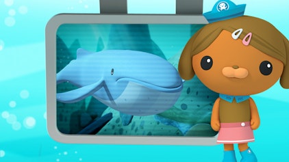 Das Okto-Lied Die Blauwale