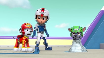 PAW Patrol - Helfer auf vier Pfoten Die Eisbärenzählung