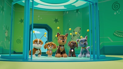 PAW Patrol - Helfer auf vier Pfoten Das Bienen-Fest