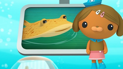 Das Okto-Lied Der Zitterrochen