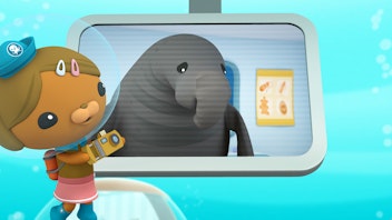 Das Okto-Lied Der See-Elefant
