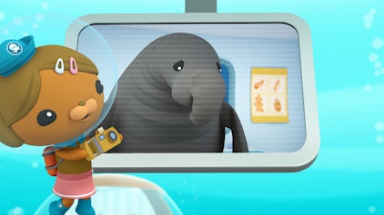 Das Okto-Lied Der See-Elefant