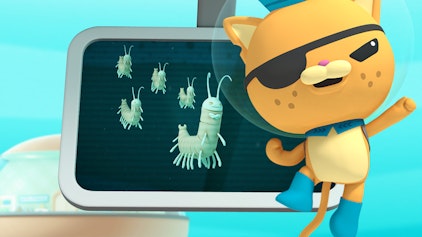 Das Okto-Lied Die Remipeden