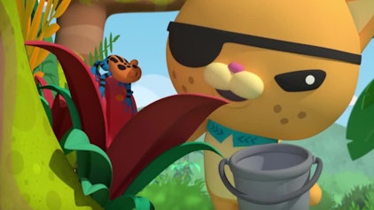 Die Oktonauten Die Oktonauten und die Baumsteigerfrösche