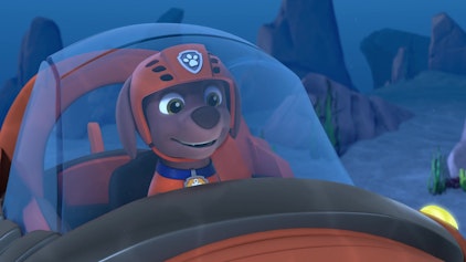 PAW Patrol - Helfer auf vier Pfoten Der Fußfisch