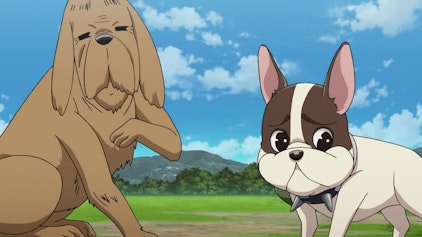 Bakugan: Legends Die Nova Technik, Teil 1