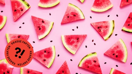 GEOLINO TV - Kurze Clips 17: Würfelförmige Wassermelonen