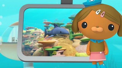 Das Okto-Lied Tigerhai