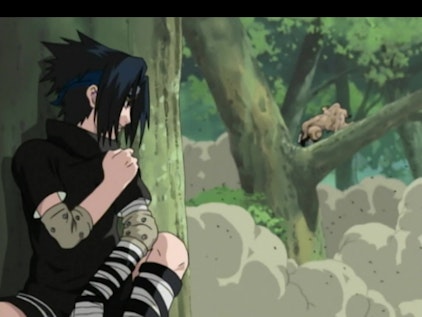 Naruto Ein hervorragender Marionettenspieler