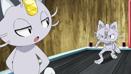 Pokémon: Sonne & Mond - Ultra-Abenteuer Gut in Form!