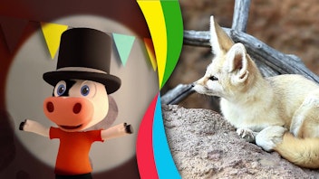 Toggolino - Die Show mit Muhpidu! Toggolino und die niedlichen Tiere