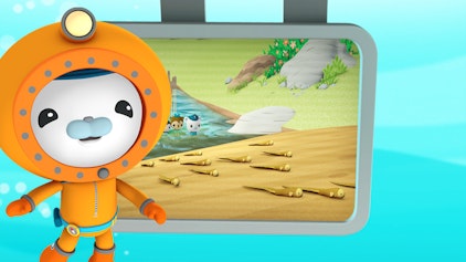 Das Okto-Lied Die Aalwanderung